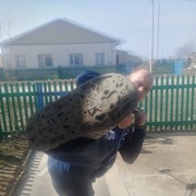 �������� � �����.?