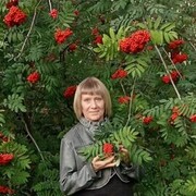 ���������� �������, ������� ������, 48