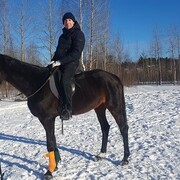 ���������� �����-���������, ���� ������� �������, 39 ���, ������������ ��� ����� � ���������, c�������� ���������, ���������