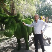  ,   , 47 ,   ,   , 