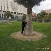 ���������� ���������, ���� ������� �������, 28 ���, ������������ ��� ������, ����� � ���������, c�������� ���������, ���������