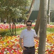  ,   Matin, 37 ,   ,   