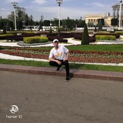  -,   , 43 ,   ,   , c 