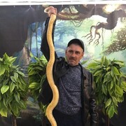  ,   , 52 ,     