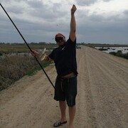 ���������� �������, ���� ������� �����, 38 ���, ������������ ��� ����� � ���������, c�������� ���������