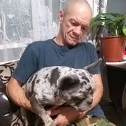  ,   , 47 ,   , 