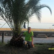 ���������� �����������, ������� ����, 43