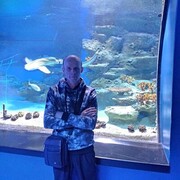 ���������� �����������, ���� ������� ����, 50 ���, ������������ ��� ����� � ���������, c�������� ���������, ���������