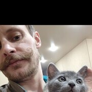  -,   , 34 ,   ,   