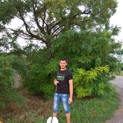  ,   , 34 ,  
