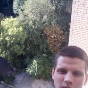  ,  Flatterer, 24