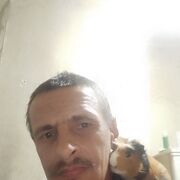 ���������� ��������, ���� ������� ������, 42 ����, ������������ ��� ������, ����� � ���������, c�������� ���������