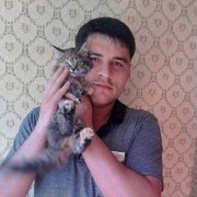 ���������� ����, ���� ������� Emil, 40 ���, ������������ ��� ������