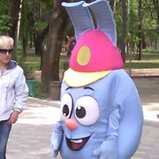  ,    , 58 ,  