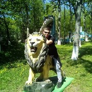  -,   , 43 ,   ,   , c 
