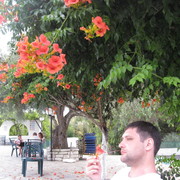   ,   , 44 ,     , c 
