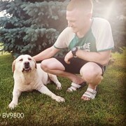 ���������� ����������, ���� ������� �������, 28 ���, ������������ ��� ������, ����� � ���������