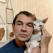  ,   , 61 ,     , c , 