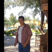  ,   Elman, 40 ,   ,   , c 
