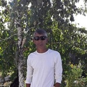  ,   , 49 ,     , c 