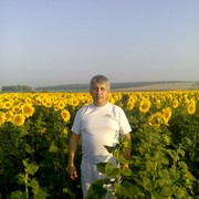  ,   , 53 ,   