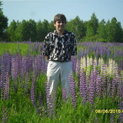 ���������� �������, ���� ������� ������, 52 ����, ������������ ��� ������, ����� � ���������, c�������� ���������