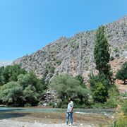  ,   Murvet, 32 ,   ,   