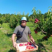 ���������� ���������, ���� ������� ���������, 33 ����, ������������ ��� ������, ����� � ���������, c�������� ���������