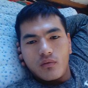  ,   Doni, 32 ,   ,   , c 