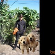  ,  TIKO, 30
