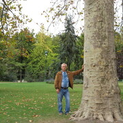  ,   , 61 ,   ,   