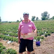  ,   , 45 ,   ,   