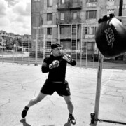  ,   Fenix, 36 ,   ,   , c , 