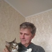  ,   , 58 ,   