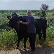  ,   , 49 ,   ,   