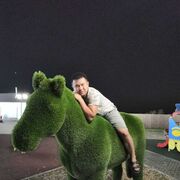 ���������� ������������, ���� ������� ����, 26 ���, ������������ ��� ������, ����� � ���������, ���������