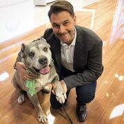  Lee,   Alexander, 68 ,   ,   , c , 