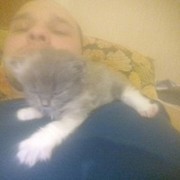  ,   , 36 ,   