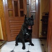  ,   , 35 ,   ,   