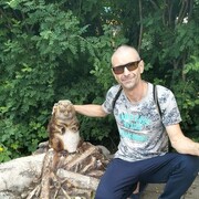 ���������� �����, ���� ������� �������, 42 ����, ������������ ��� ����� � ���������, c�������� ���������