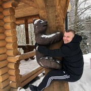 ���������� ������, ���� ������� �������, 36 ���, ������������ ��� ������, ����� � ���������, c�������� ���������