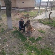 ���������� �������, ���� ������� ����, 52 ����, ������������ ��� ������, c�������� ���������, ���������