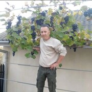  ,   , 50 ,   ,   