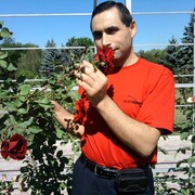 ,   Sergiu, 46 ,   ,   , c 
