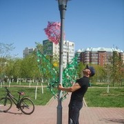 ���������� ������, ���� ������� �������, 41 ���, ������������ ��� ����� � ���������, c�������� ���������