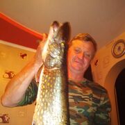  ,  Buzinhik, 54