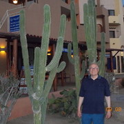  ,   , 71 ,   