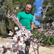  Armadale,   Shane, 58 ,   ,   