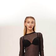 ���������� ������, ���� ������� ������, 23 ����, ������������ ��� ������, ����� � ���������