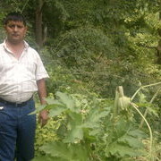  ,   , 54 ,   